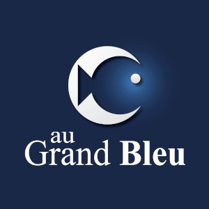 http://www.augrandbleu.com